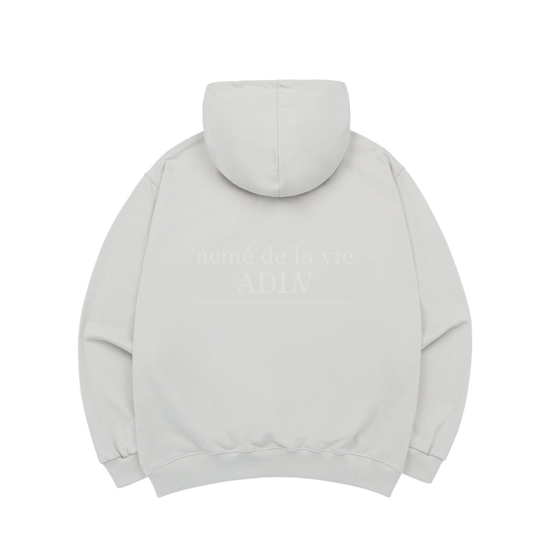 ADLV WORLD TOUR HOODIE GREY