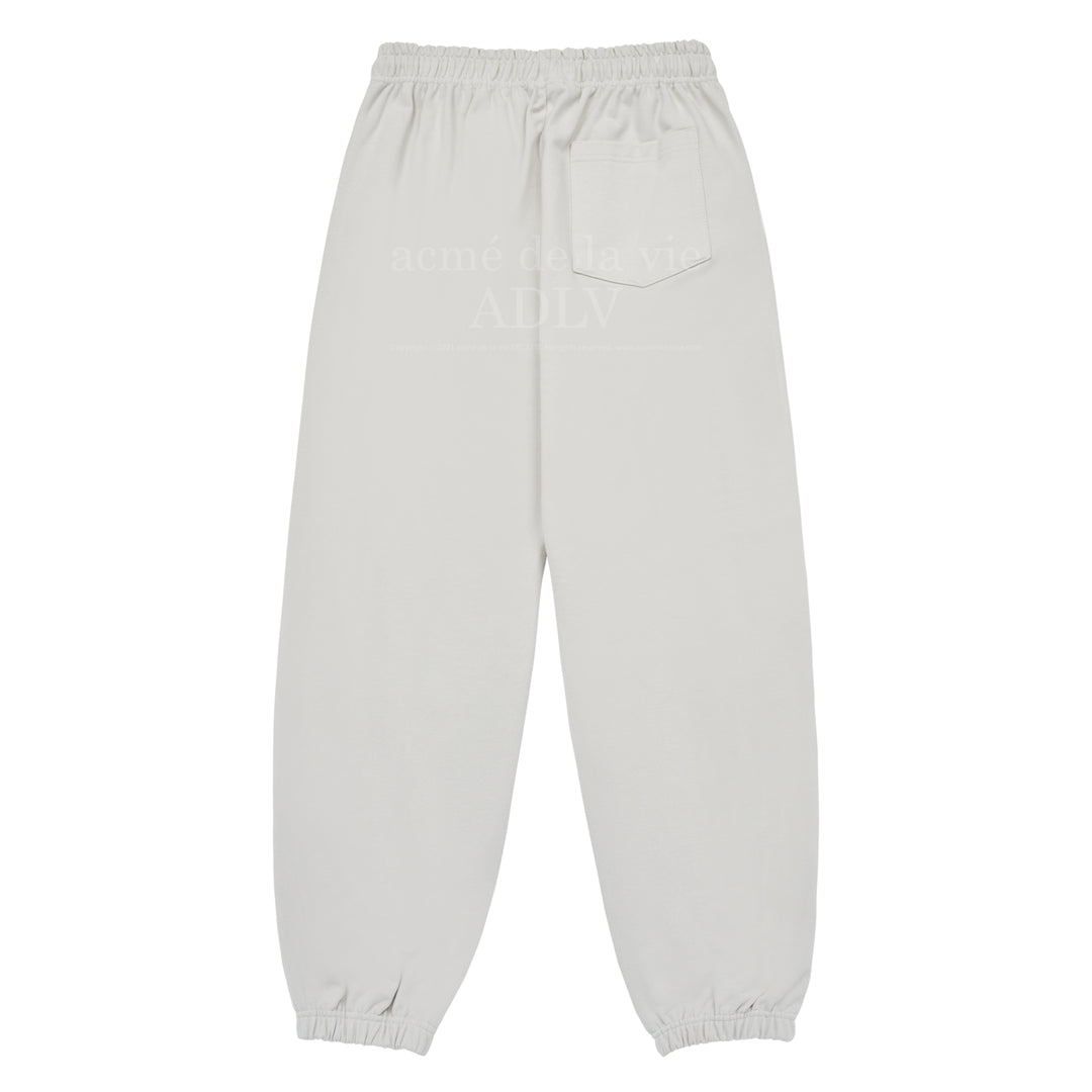 ADLV WORLD TOUR PANTS GREY