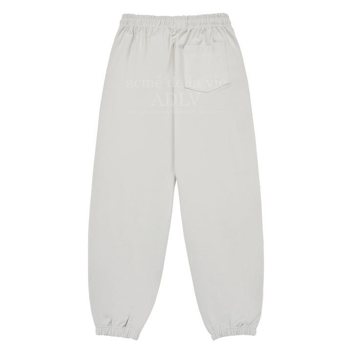 ADLV WORLD TOUR PANTS GREY