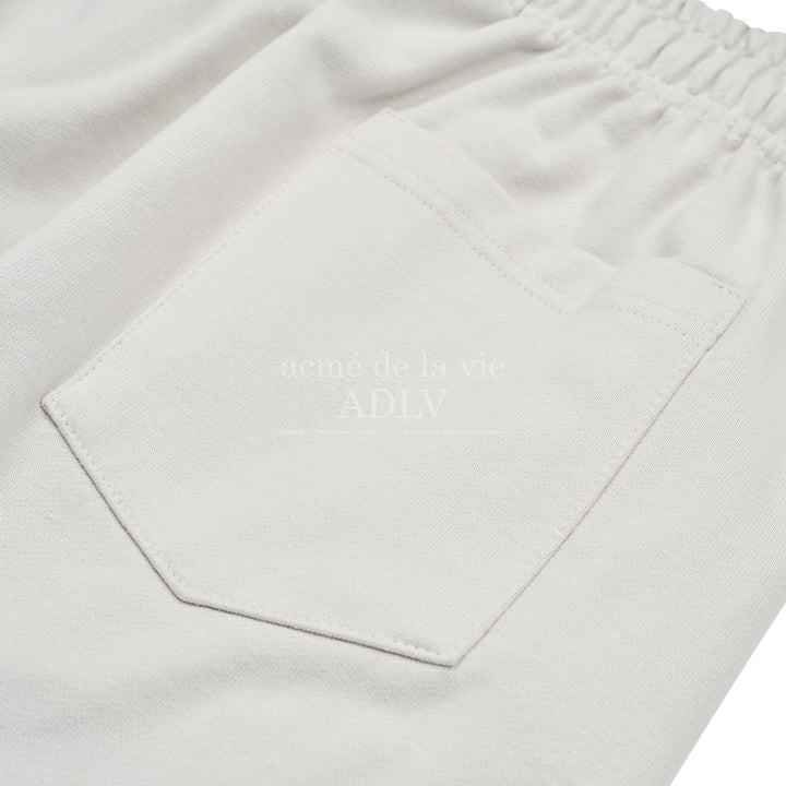 ADLV WORLD TOUR PANTS GREY