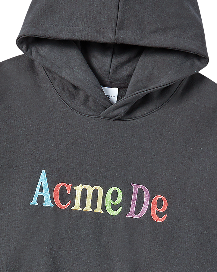 COLOR LOGO HOODIE CHARCOAL