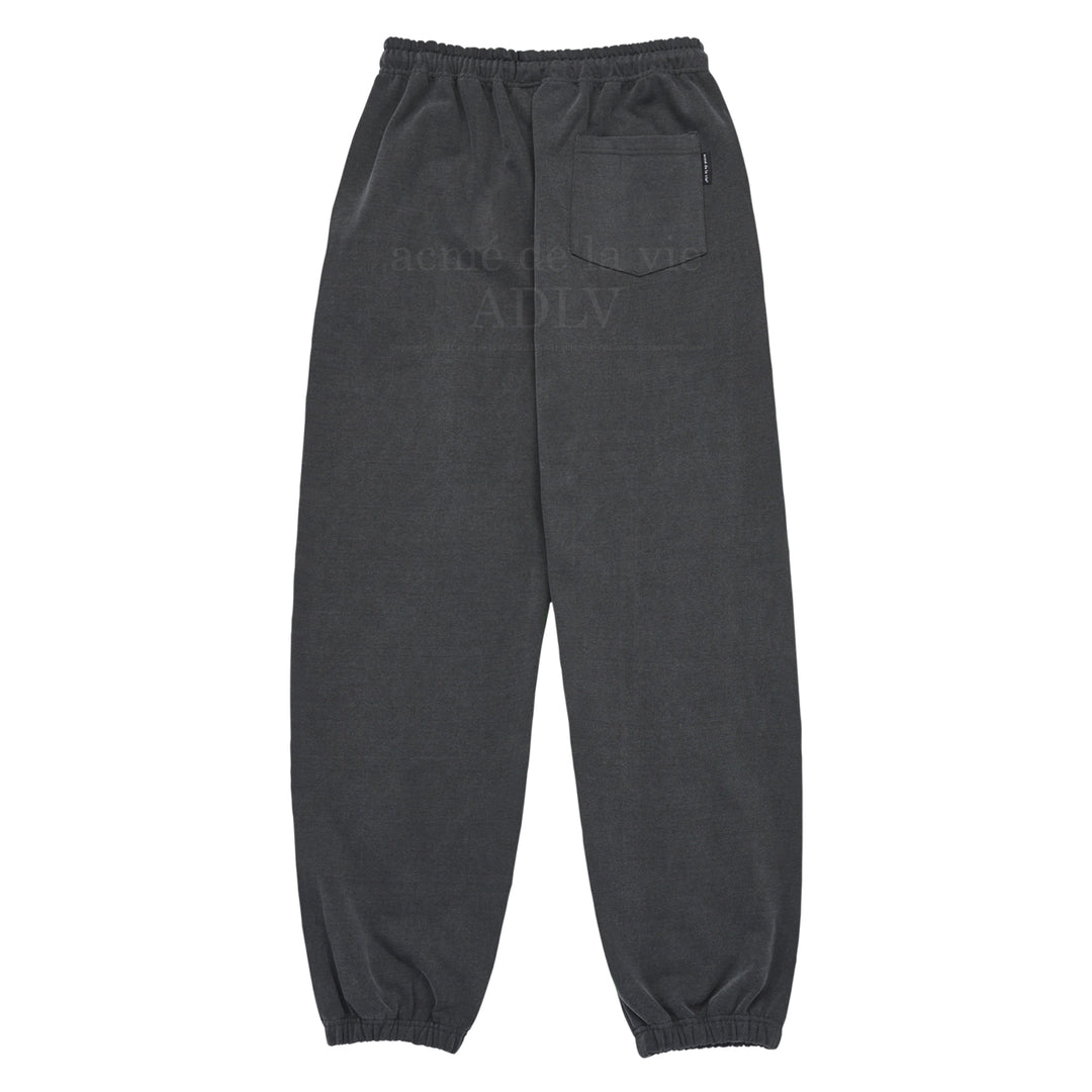 ADLV PIGMENT SCRIPT LOGO TRAINING PANTS CHARCOAL